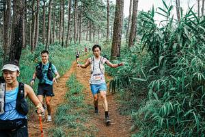 BIB: 
                            <button type="button" onclick="openModal(25660572)" class="btn btn-primary btn-sm float-right btn-popup" data-toggle="modal" data-target=".modal-high-quality">
                        <i class="fas fa-shopping-cart"></i> Add to Cart
                    </button>
                                            <button type="button" onclick="isThisMe(25660572, true)" class="btn btn-success btn-sm float-right btn-popup btn-isme hidden" data-toggle="tooltip" data-placement="bottom" title="นี่คือรูปของคุณใช่ไหม คลิกที่นี่เพื่อเอาเข้าอัลบั้ม">
                        <i class="fas fa-plus"></i> Add to album
                    </button>
                    <button type="button" onclick="isThisMe(25660572, false)" class="btn btn-warning btn-sm float-right btn-popup btn-isnotme hidden">
                        <i class="fas fa-ban"></i> Remove from album
                    </button>